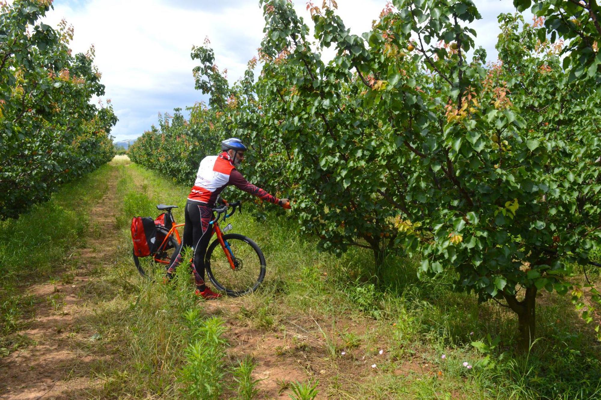 Azienda Agrituristica Il Pago Nova Siri Marina Luaran gambar