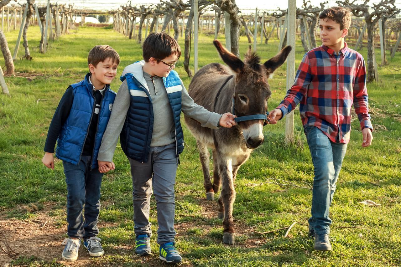 Azienda Agrituristica Il Pago Nova Siri Marina Luaran gambar