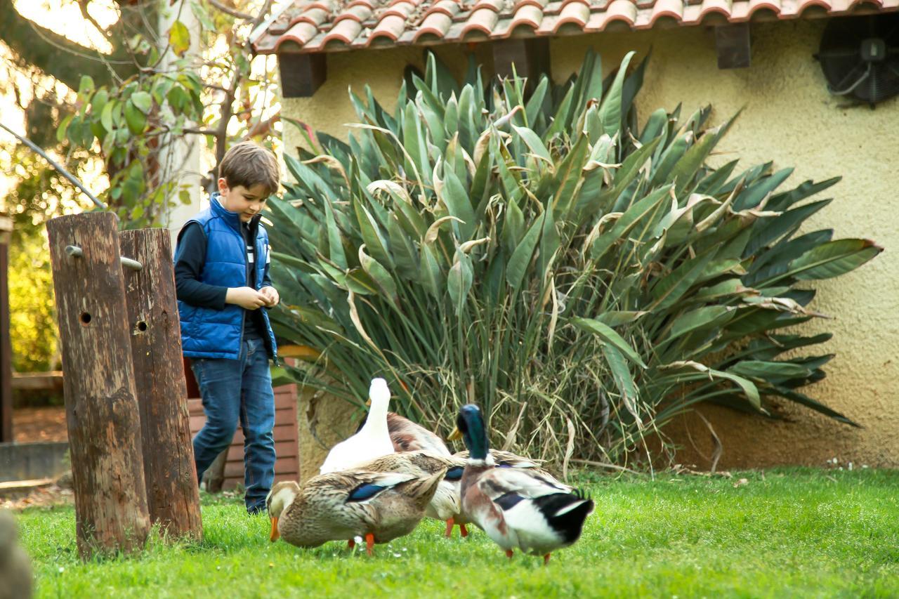 Azienda Agrituristica Il Pago Nova Siri Marina Luaran gambar